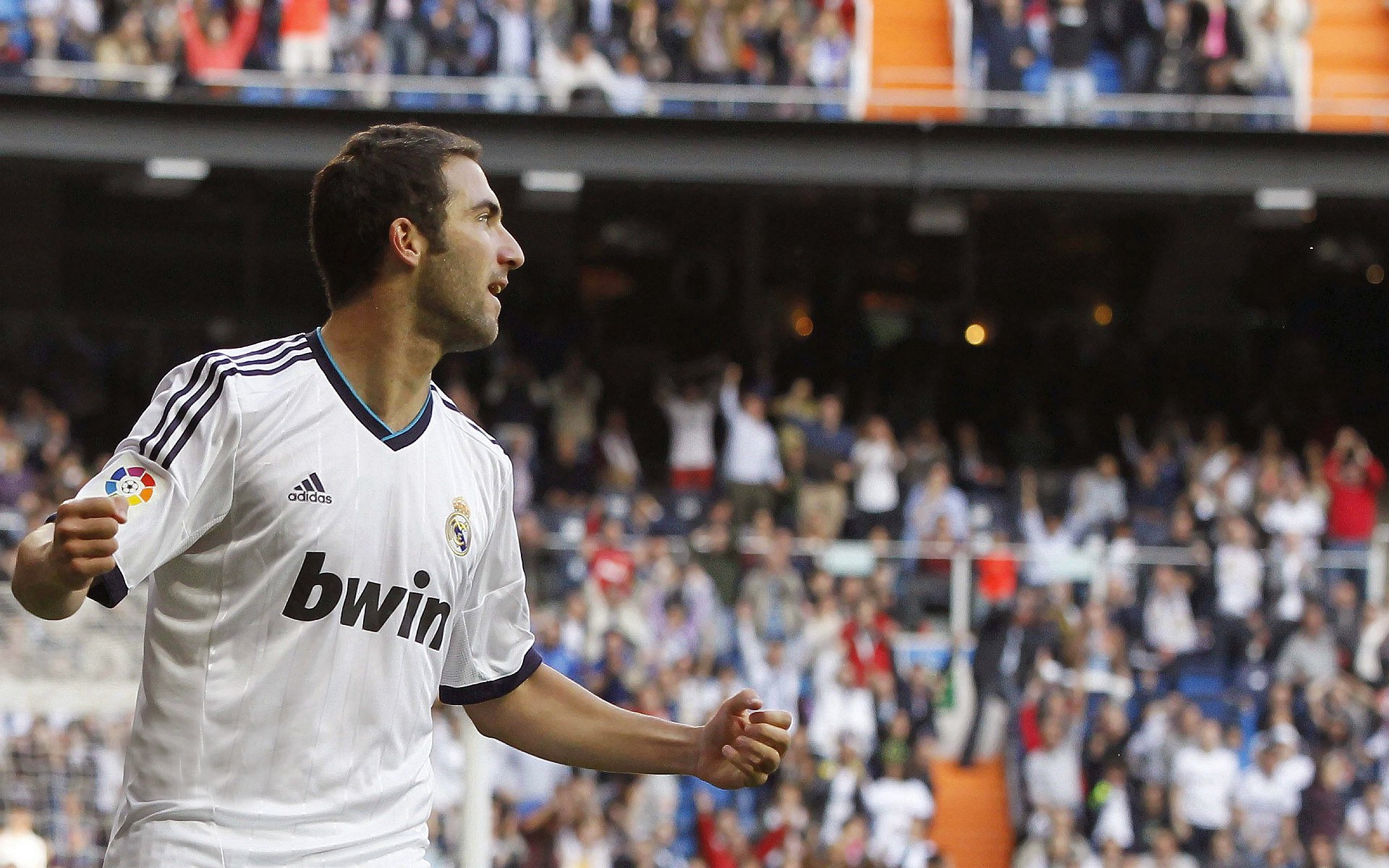 开云中国-拳击新星崭露头角,热血对抗不断升级,拳击新人